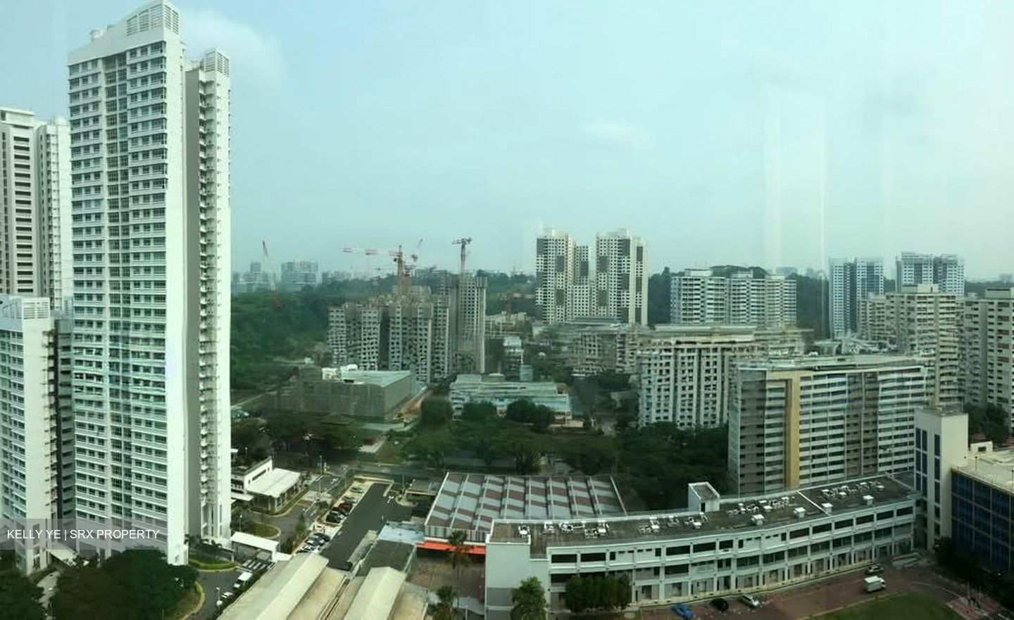 Skyline Residences (D4), Condominium #566382221